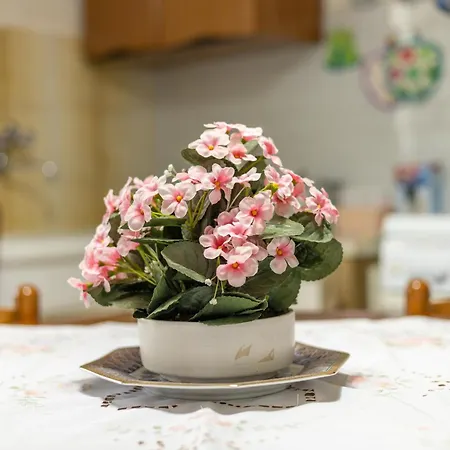 Sartiglia Domu * Oristano